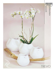 Ronkenstein Katalogdesign und Fotografie